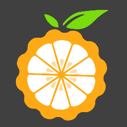 Orange PI logo
